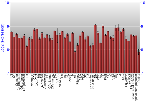 Expression graph