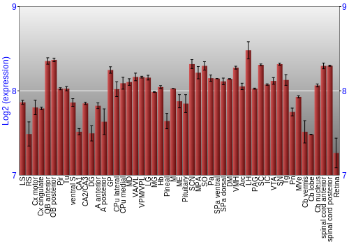 Expression graph