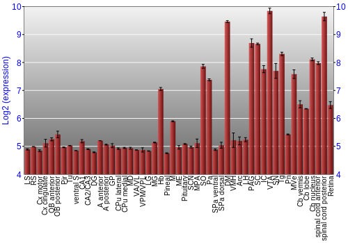 Expression graph
