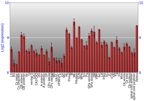 Expression graph