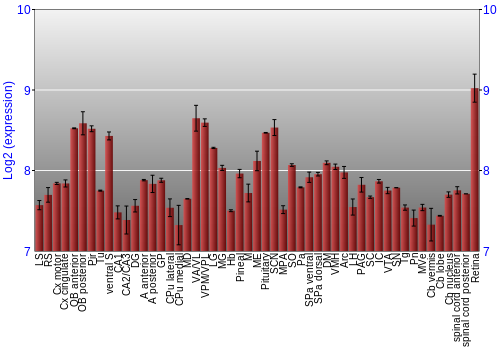 Expression graph