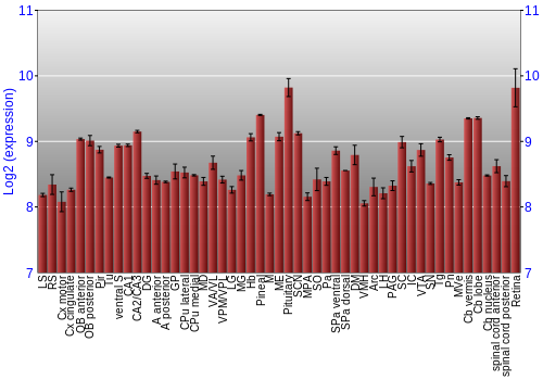 Expression graph