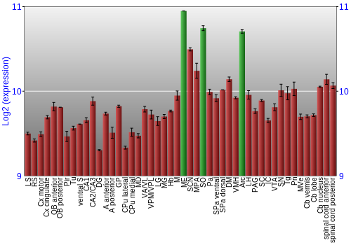 Multi-state expression graph