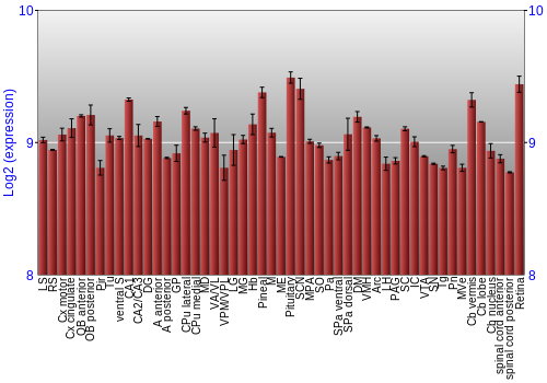 Expression graph
