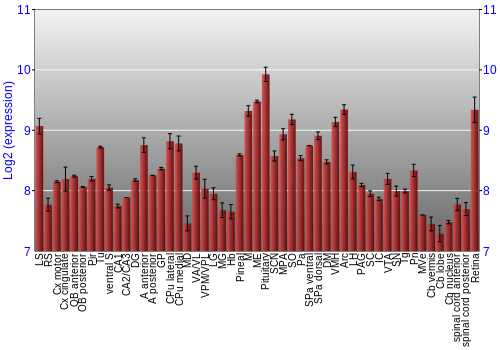 Expression graph
