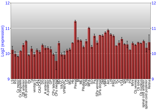 Expression graph