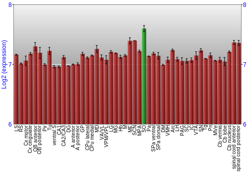 Multi-state expression graph