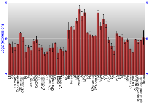 Expression graph