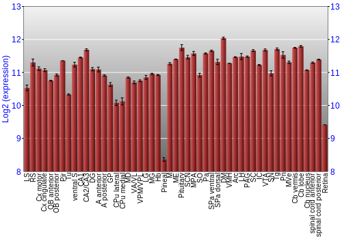 Expression graph