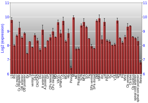 Expression graph