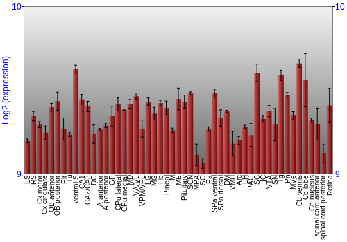 Expression graph