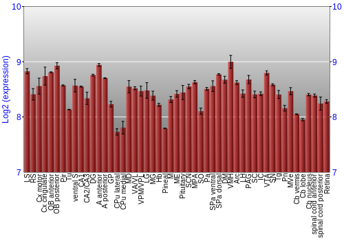 Expression graph