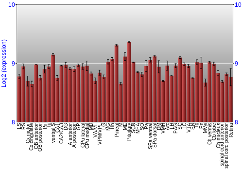 Expression graph