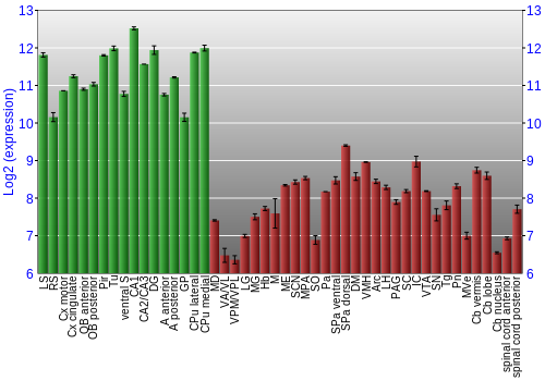 Multi-state expression graph