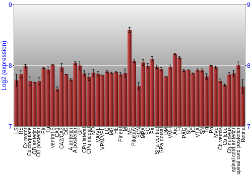 Expression graph