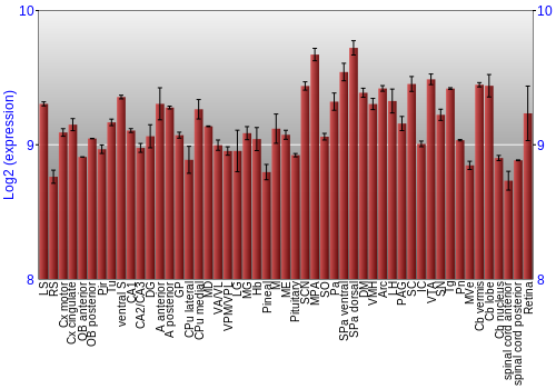 Expression graph