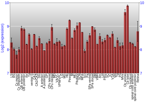 Expression graph
