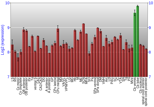 Multi-state expression graph