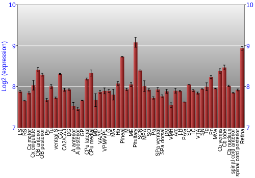 Expression graph