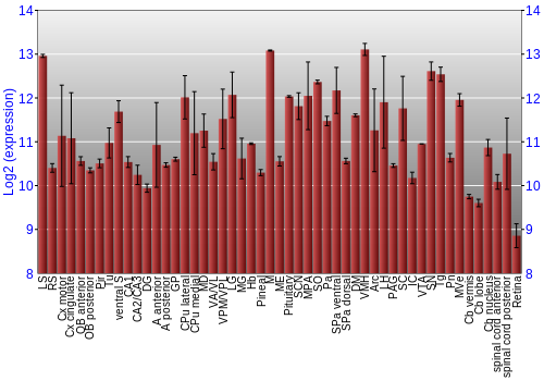 Expression graph