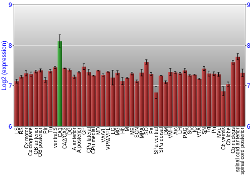 Multi-state expression graph