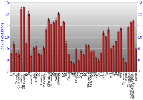 Expression graph