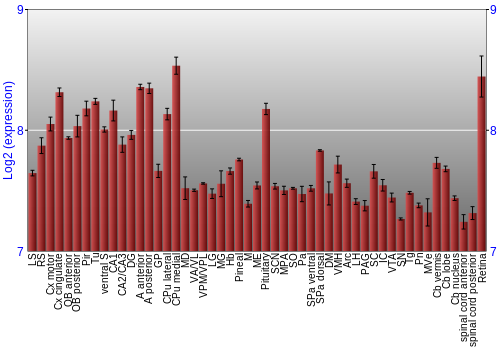 Expression graph