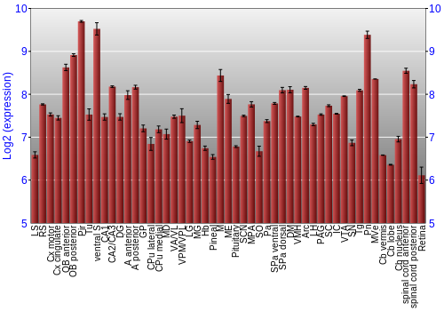 Expression graph