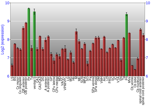 Multi-state expression graph