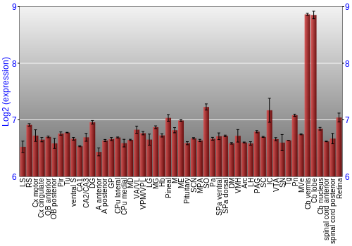 Expression graph