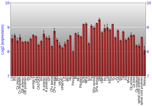 Expression graph