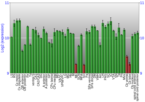 Multi-state expression graph