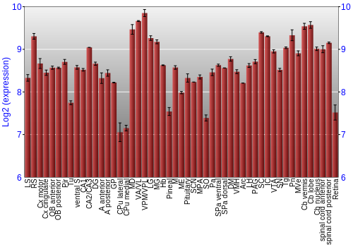 Expression graph