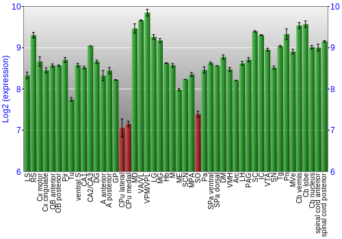 Multi-state expression graph