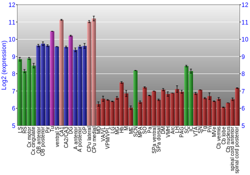 Multi-state expression graph