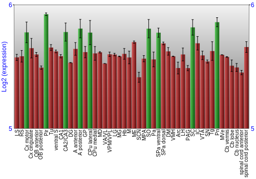Multi-state expression graph