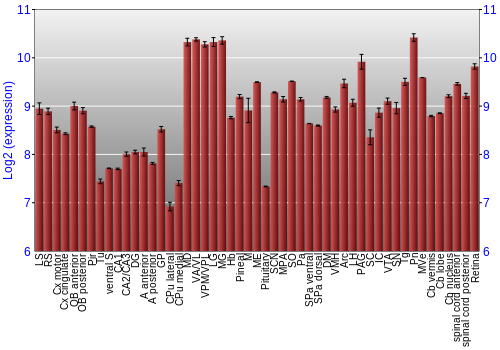 Expression graph