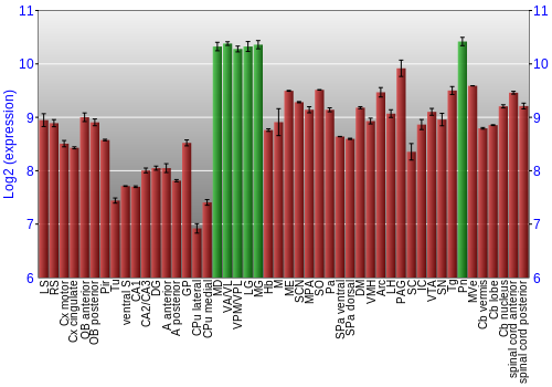 Multi-state expression graph