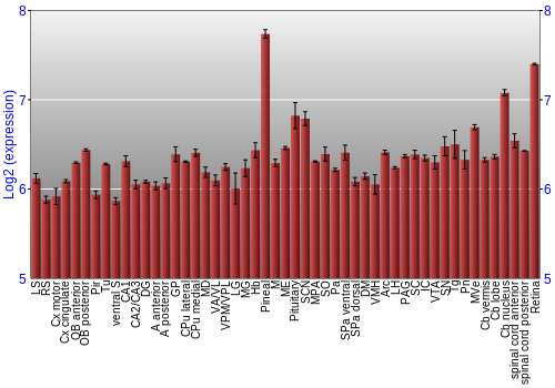 Expression graph