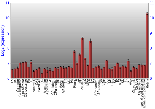 Expression graph