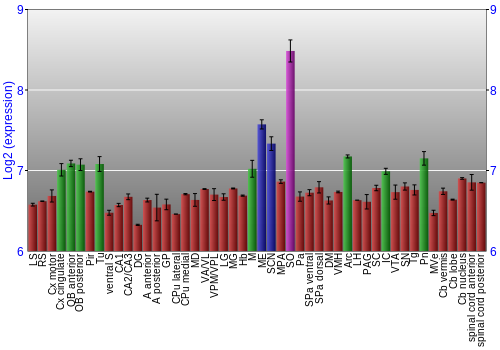 Multi-state expression graph