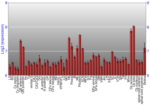 Expression graph