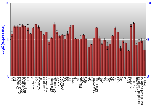 Expression graph