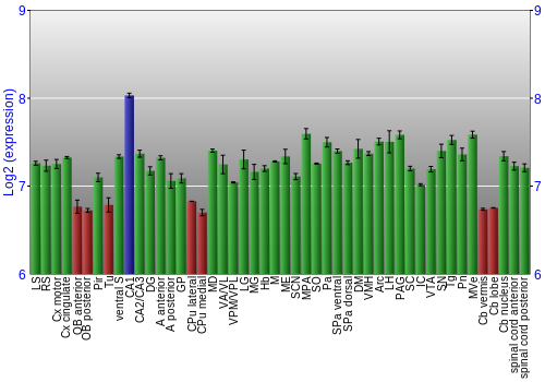 Multi-state expression graph