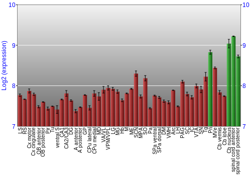 Multi-state expression graph