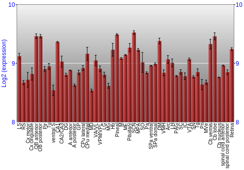Expression graph