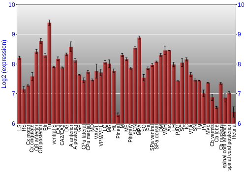 Expression graph