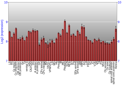 Expression graph