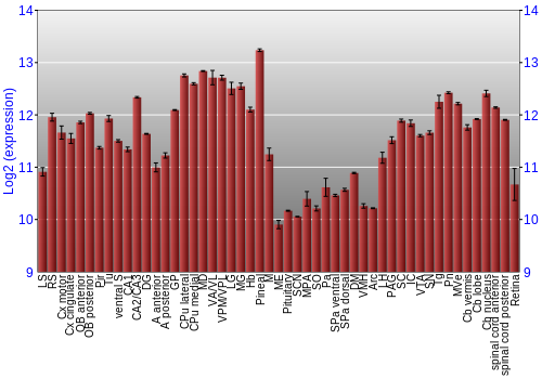Expression graph