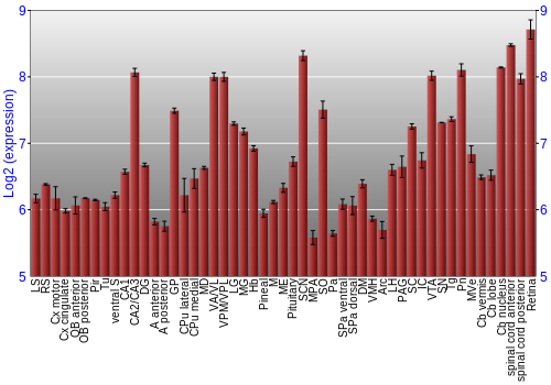 Expression graph